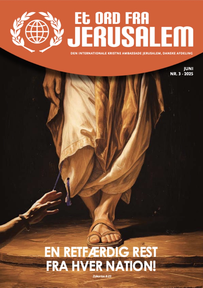 Nr. 3 · Juni 2025