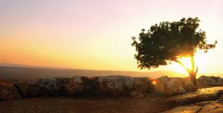 Hilsen fra Jerusalem – Nr. 4 · August 2023