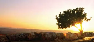 Hilsen fra Jerusalem – Nr. 1 · Februar 2024