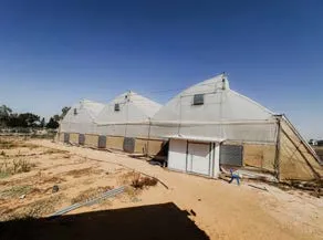 Sde Nitzan – agrotech-skole hjælp os med at efterlade en