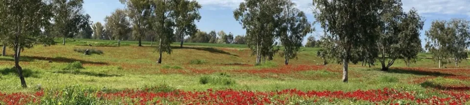Adoptér dit hjørne af ‘Christian Embassy Nature Park’