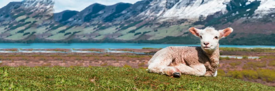 PÅSKE – EN SKELSÆTTENDE BEGIVENHED